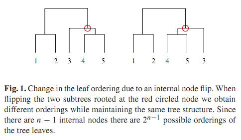 this is the node-flip picture